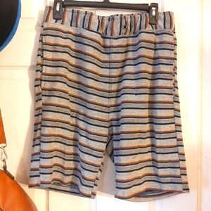 Earthbound Trading Co. Mens shorts (medium)